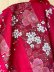 Photo5: Cherry Blossom  "Happi-coat" robe XL (WIDE SIZE)